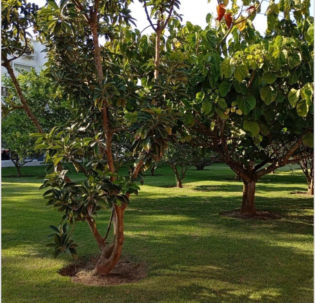 SE VENDE FINCA LUXURY EN CONDOMINIO ROZO VALLE DEL CAUCA