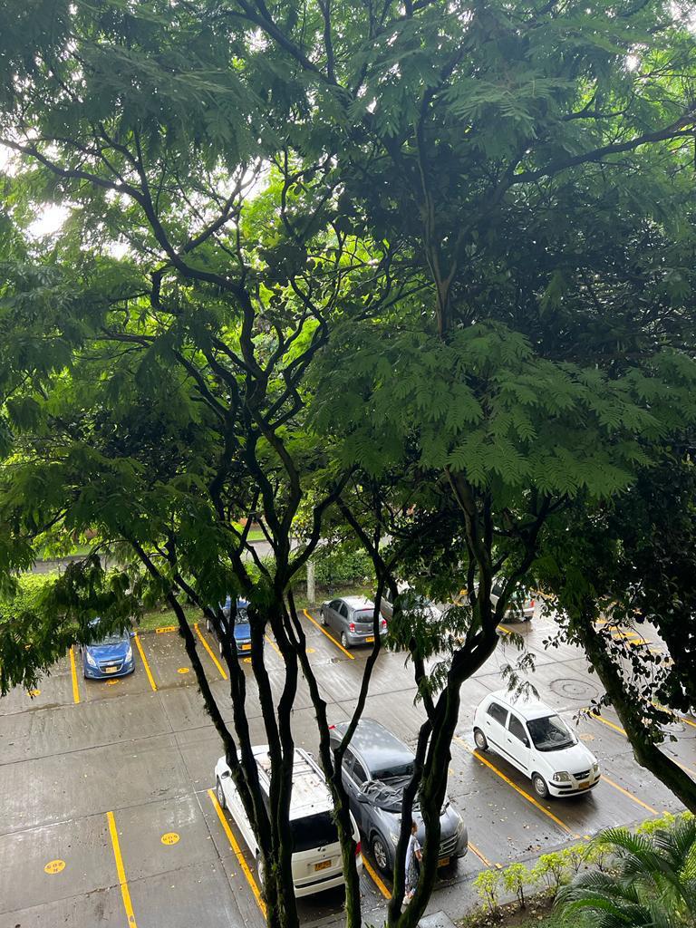 APARTAMENTO EN VENTA EN BARRIO LIMONAR CALI GANGAZO